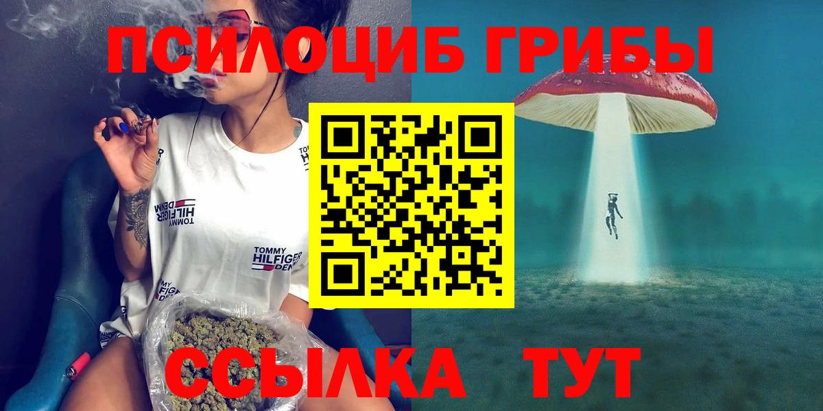 Галлюциногенные грибы Cubensis  Вход с VPN  Галлюциногенные грибы Psilocybe  Каменск-Шахтинский 